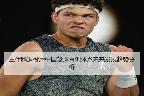 王仕鹏退役后中国篮球青训体系未来发展趋势分析
