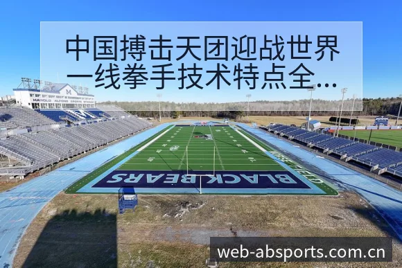 中国搏击天团迎战世界一线拳手技术特点全解与晋级前景分析 - B体育