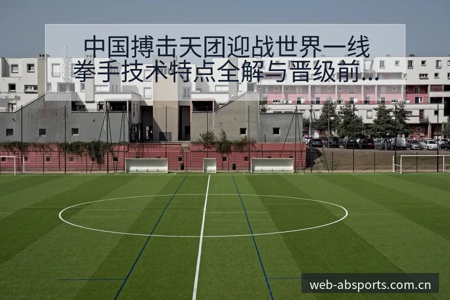 中国搏击天团迎战世界一线拳手技术特点全解与晋级前景分析 - B体育